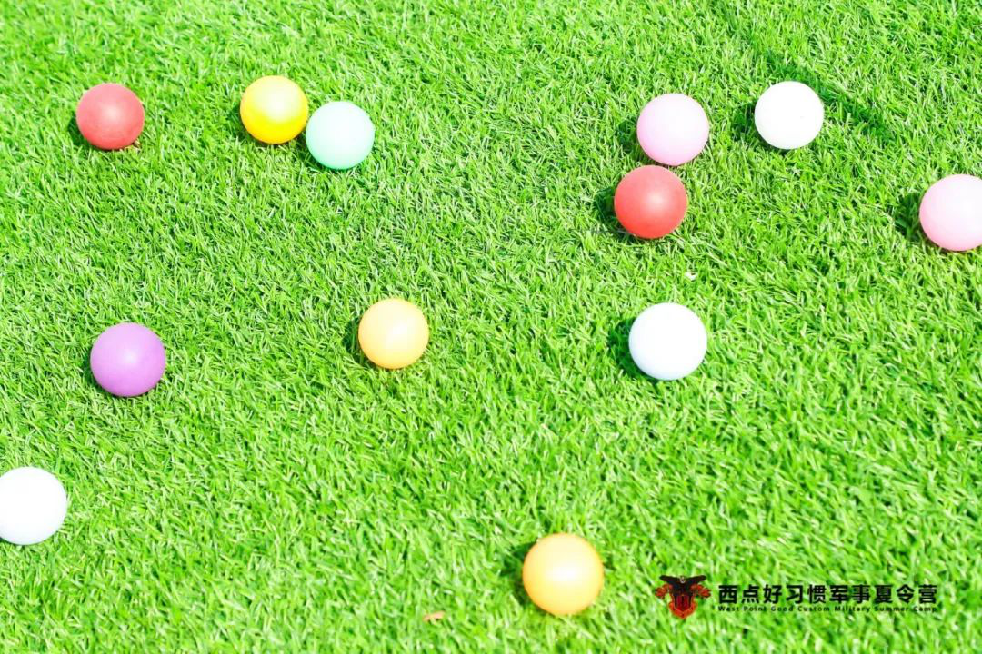 这个夏天，我成了同学眼里最羡慕的人,上海西点军事夏令营