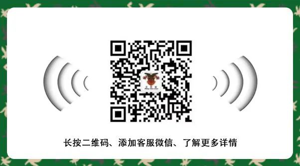 2021西点好习惯冬令营开营啦