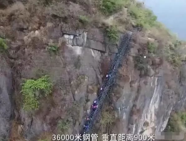 亲爱的孩子，当你累了想要放弃时，请想想这3个人