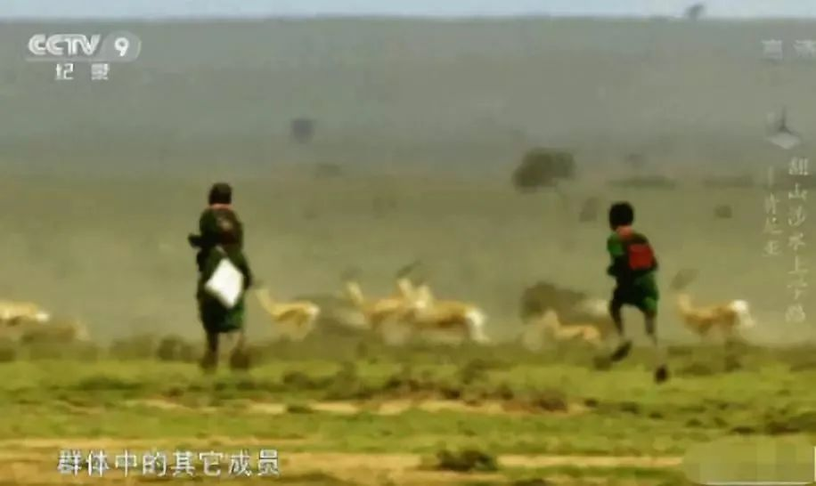亲爱的孩子，当你累了想要放弃时，请想想这3个人