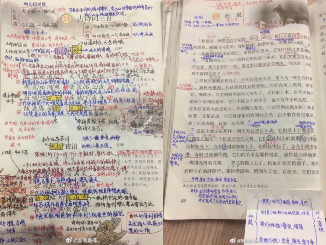 “双减”落地一年后：快乐教育输了，佛系爸妈败了......