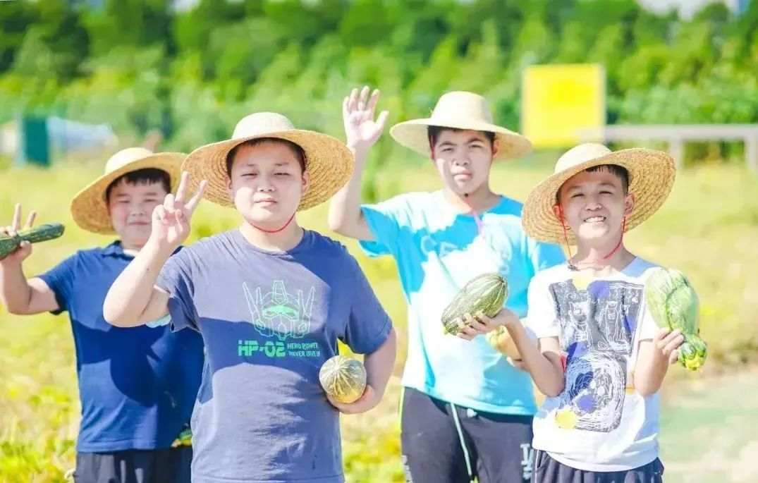 西点一日春耕营，感受大地之美，田野之趣！,西点好习惯夏令营,夏令营